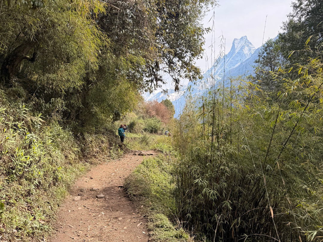 Escape Himalaya Trek And Expedition-加德满都必去景点