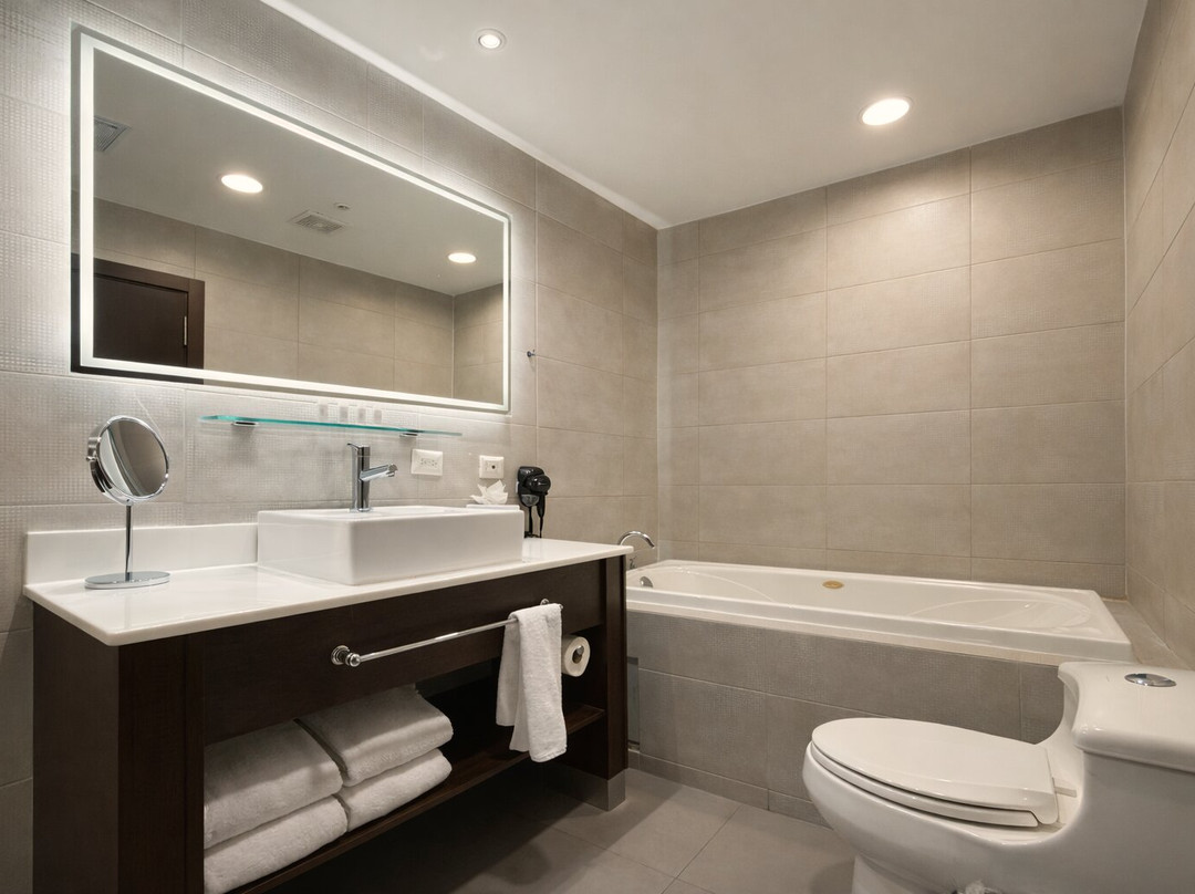 Tryp by Wyndham Panama Centro主图