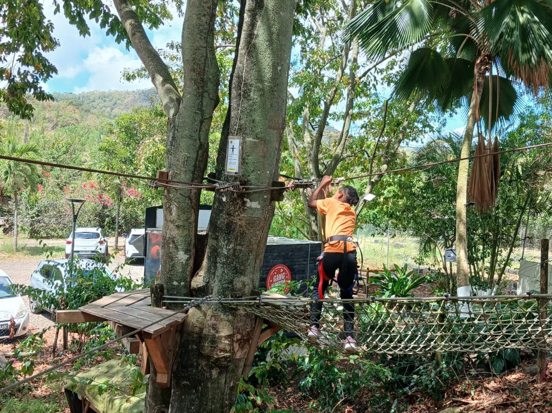 Lion's Parc-Le Vauclin必去景点