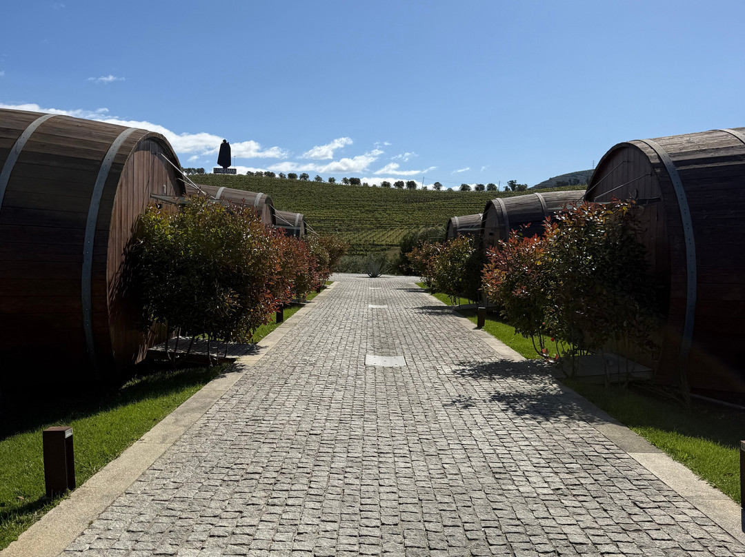 Quinta da Pacheca-Lamego必去景点