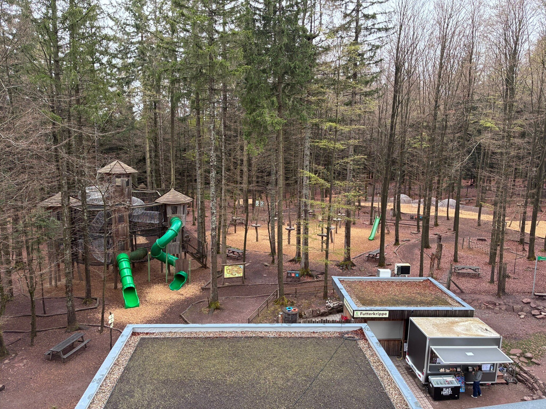 Baumwipfelpfad Schwarzwald-Bad Wildbad必去景点