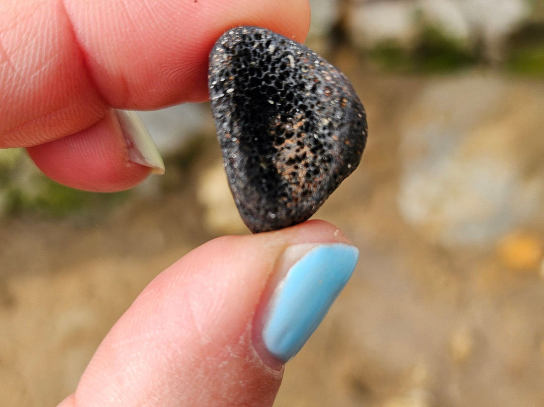 Isle of Wight Fossil Hunts - Island Gems-Godshill必去景点
