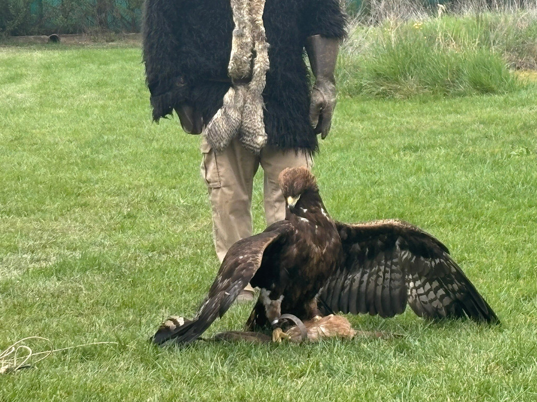 Tierra Rapaz-Calahorra必去景点