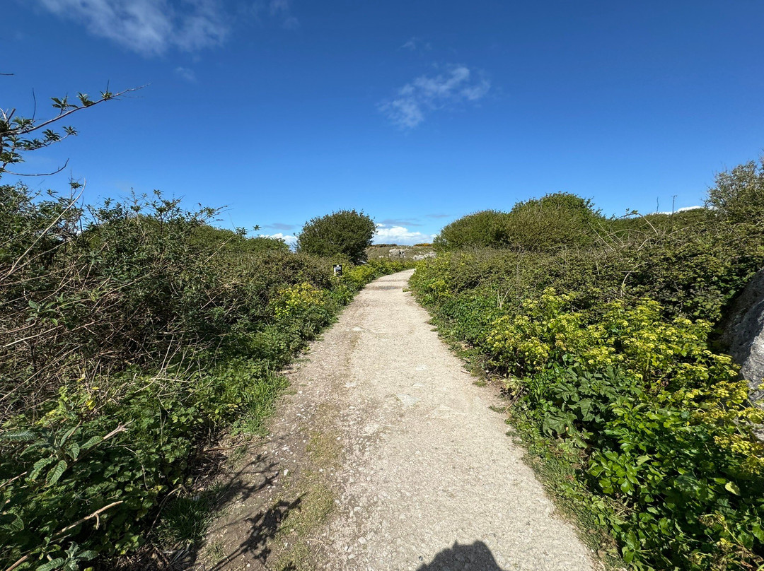 Tout Quarry Sculpture Park and Nature Reserve-Isle of Portland必去景点