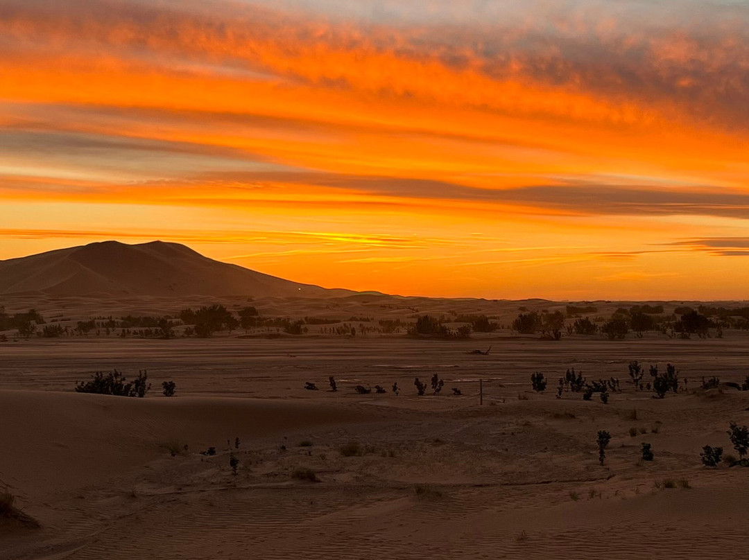 Sahara Desert Kingdom-马拉喀什必去景点