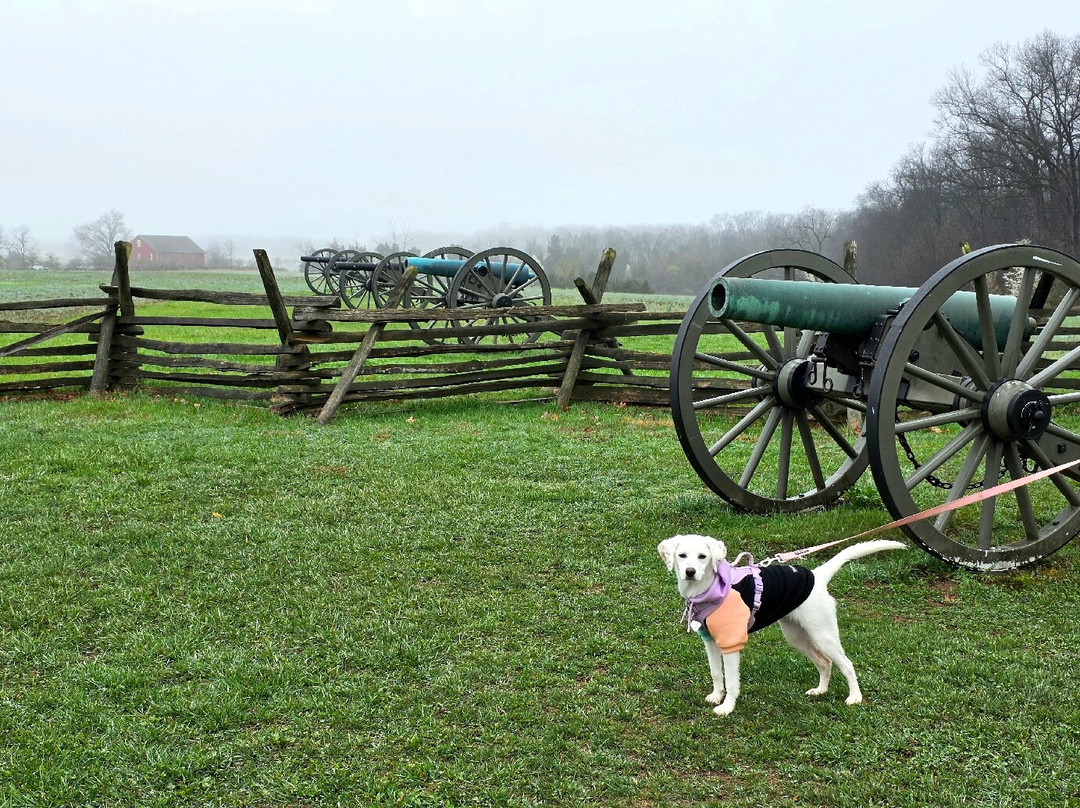 盖茨堡1863旅馆主图