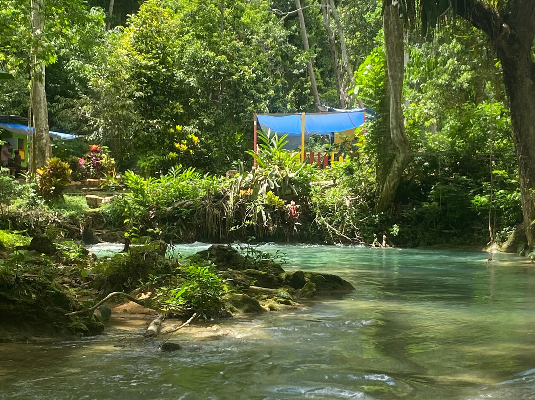 Taste the tropics tours and transportation-奥乔里奥斯必去景点