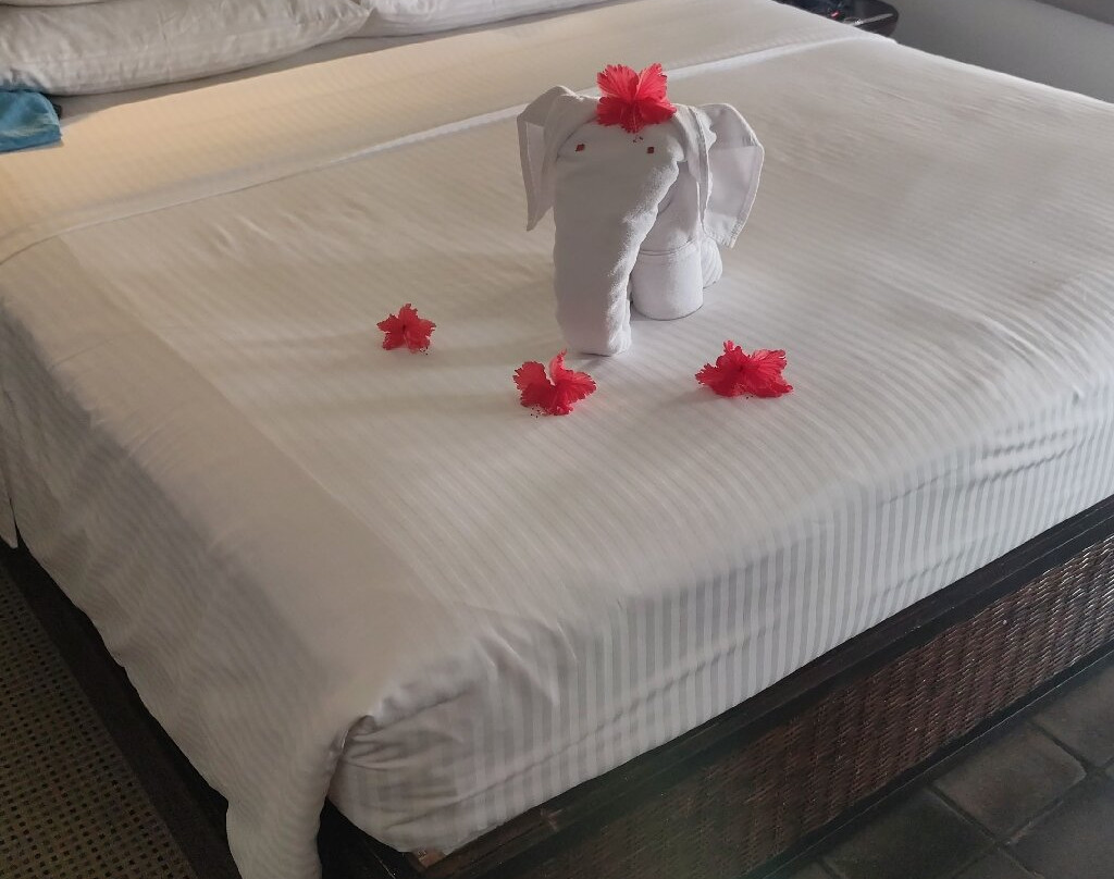 辛纳蒙希卡杜瓦酒店主图