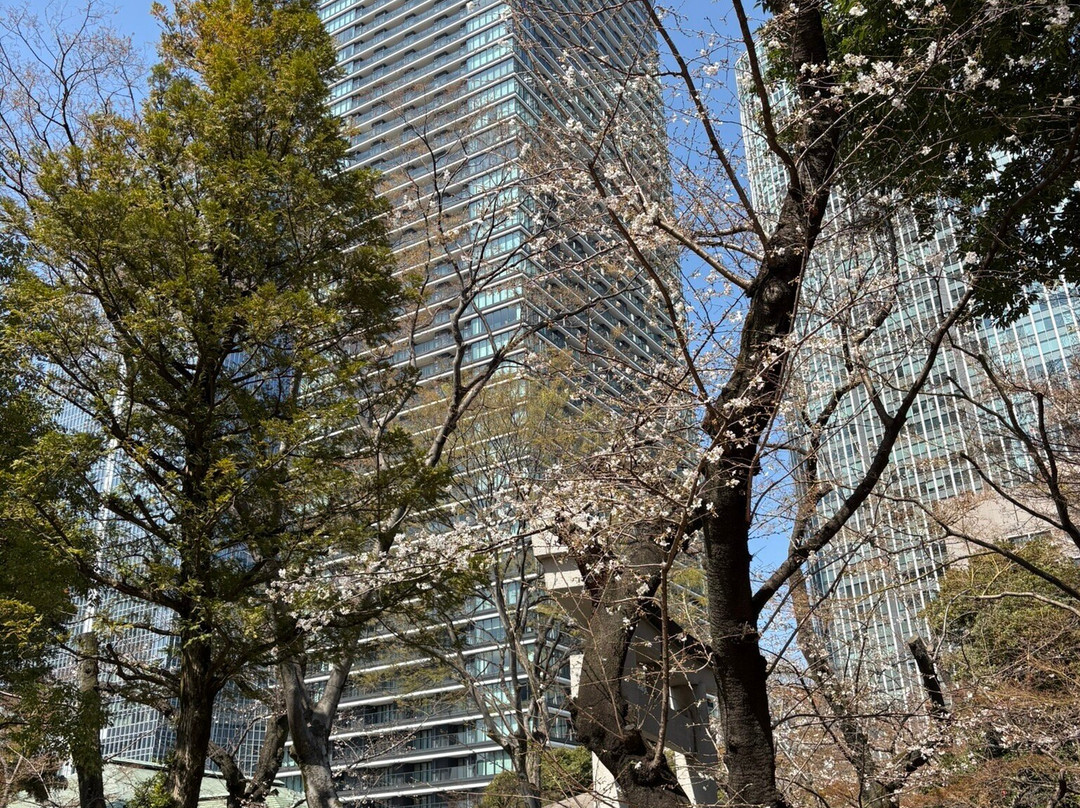 爱宕神社-港区必去景点