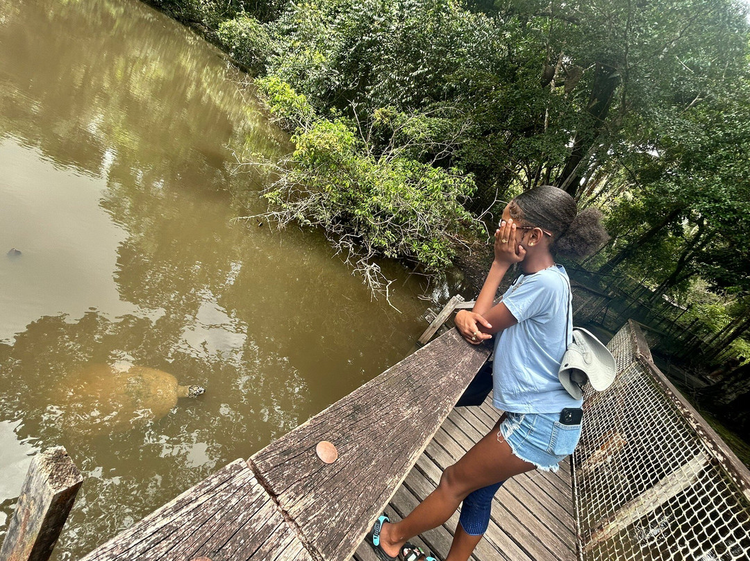 Zoo de Guyane-Macouria必去景点