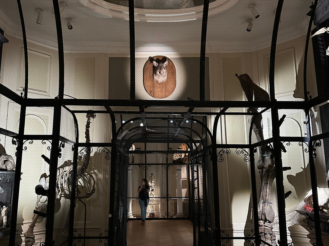 Art Zoo Museum-阿姆斯特丹必去景点