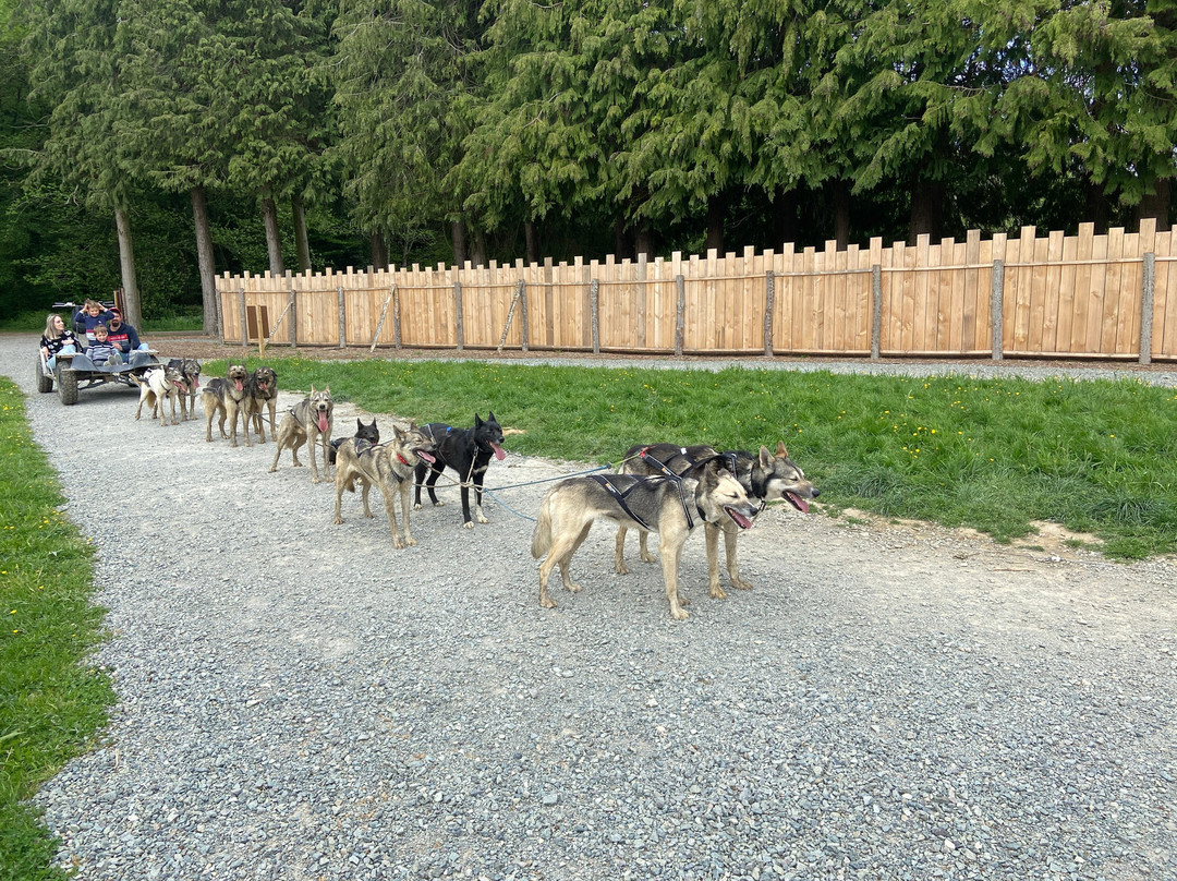 Sled Dog Ride-Saint-Symphorien必去景点