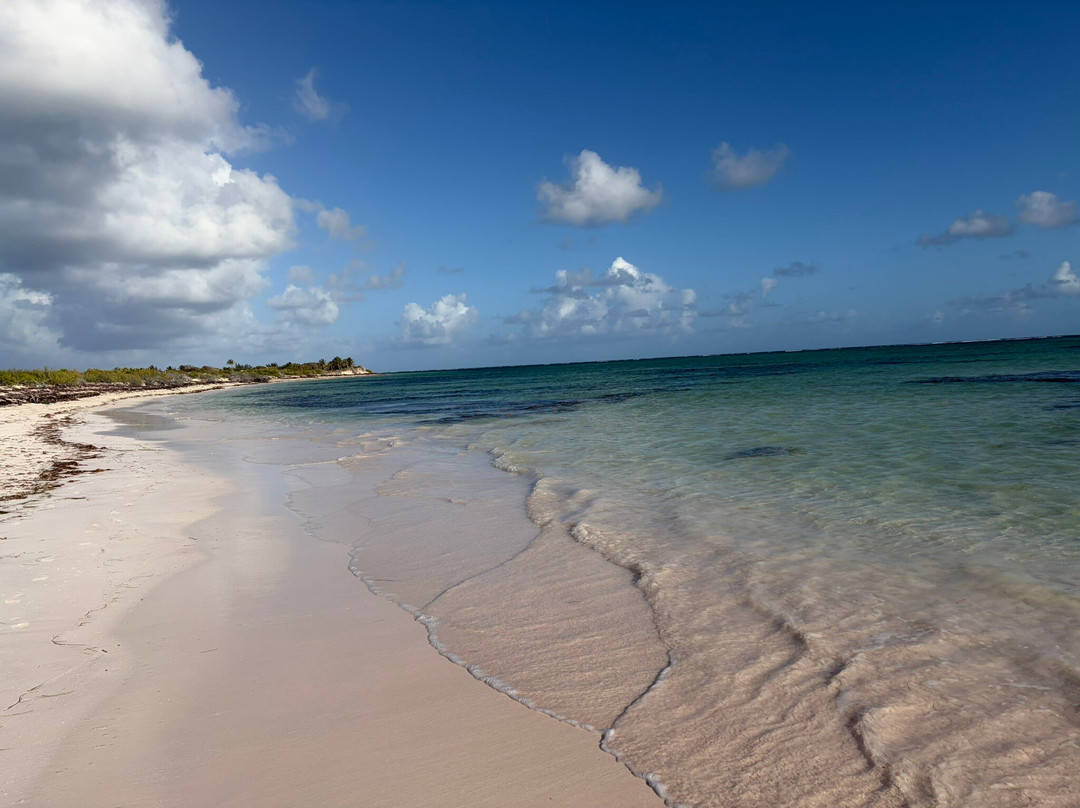 Anegada Beach Club主图