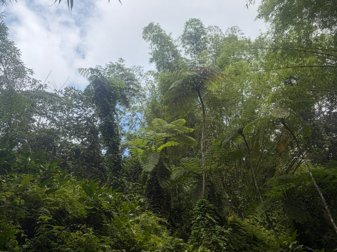 Spotin tours-Guaynabo必去景点