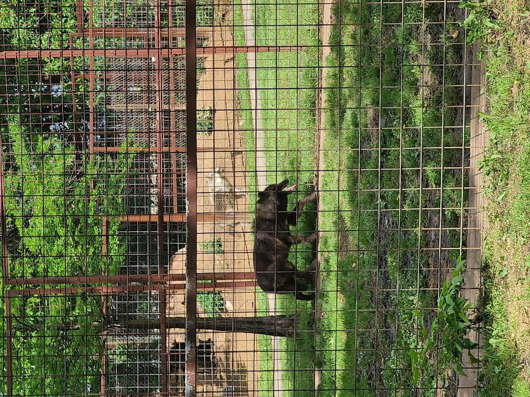 Safari Zoological Park-Caney必去景点
