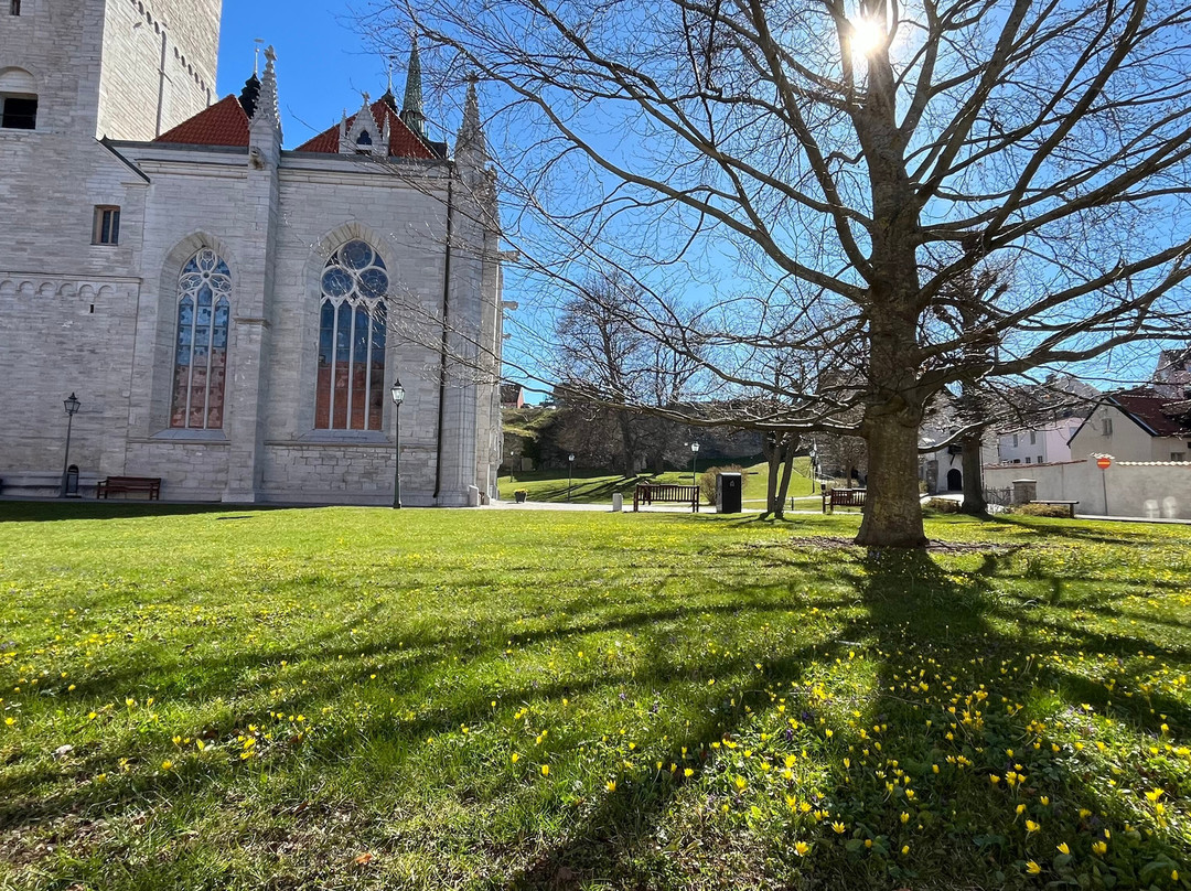 Visby Cathedral-维斯比必去景点