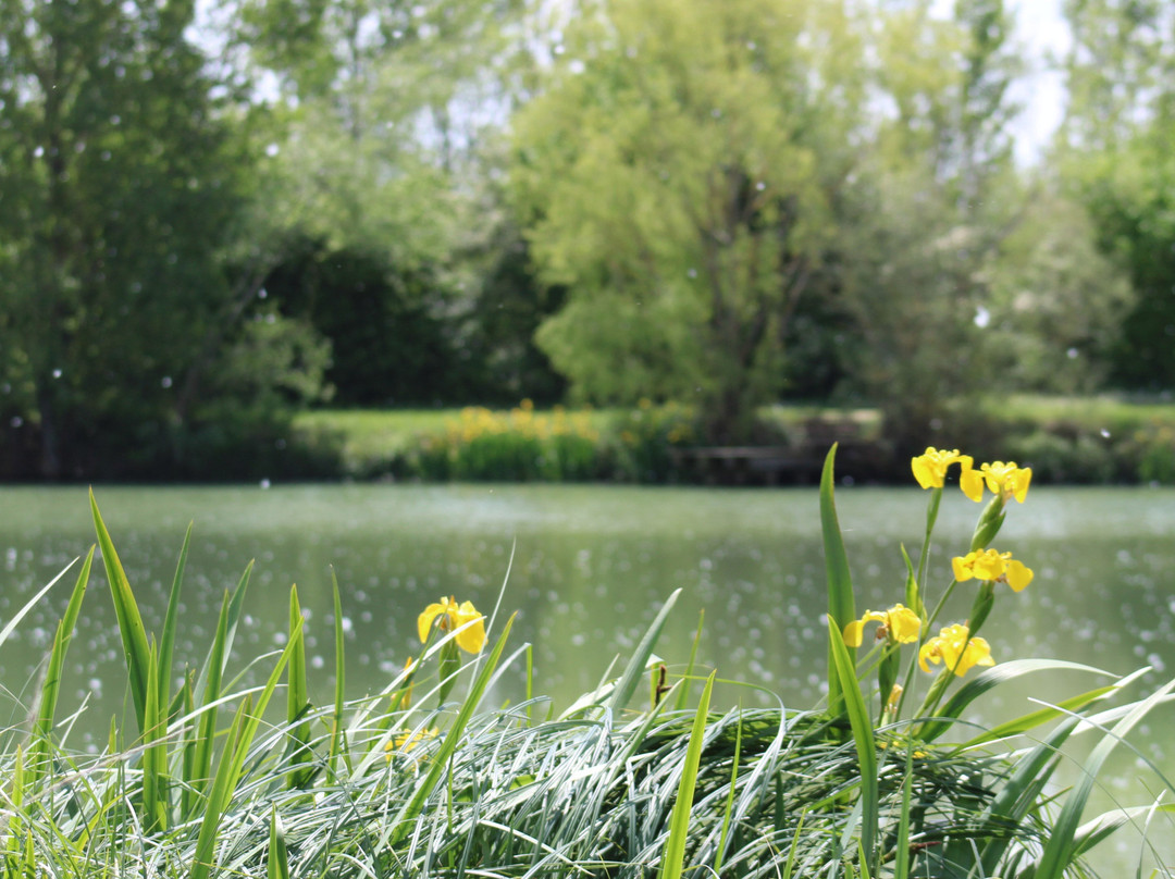 Domaine des Oiseaux-Mazeres必去景点