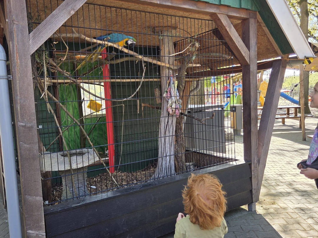 kinderboerderij Dondertman-Holten必去景点