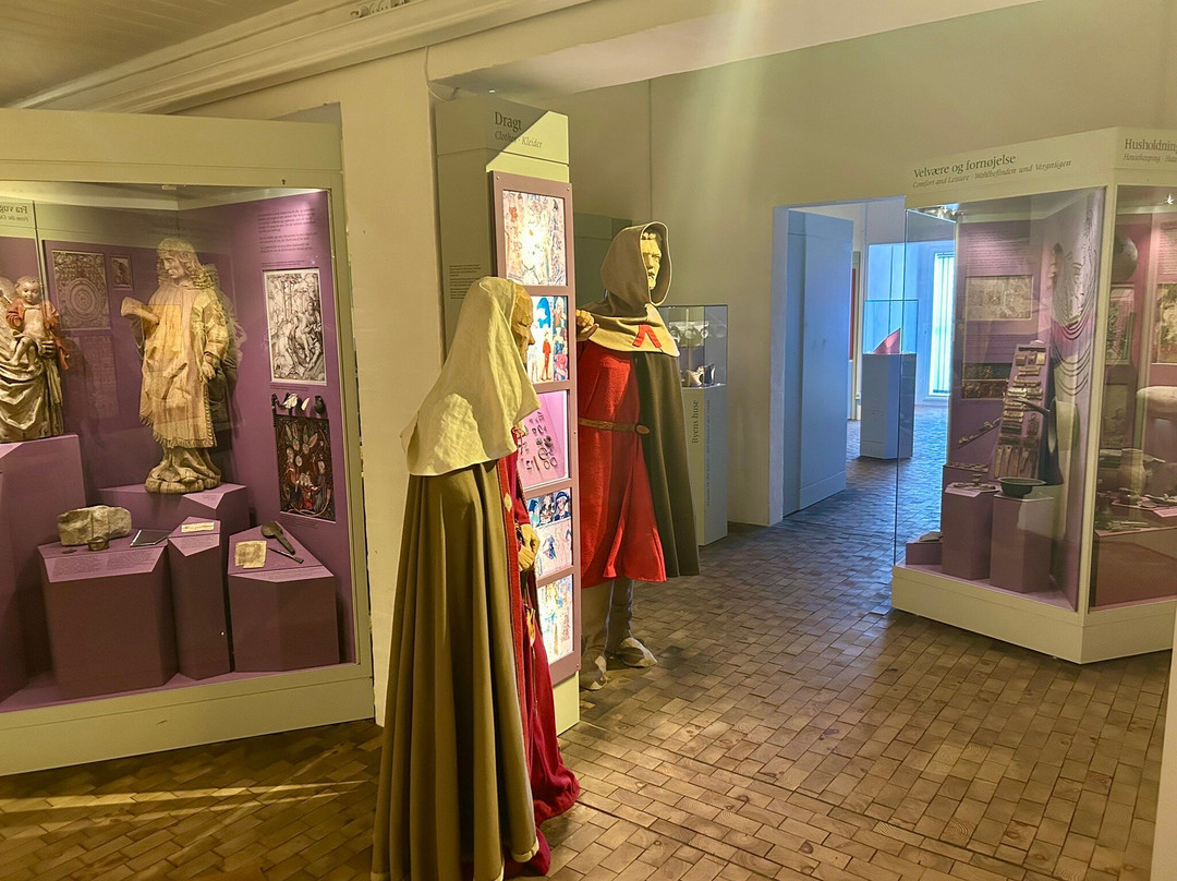 Museet Ribes Vikinger-里伯必去景点
