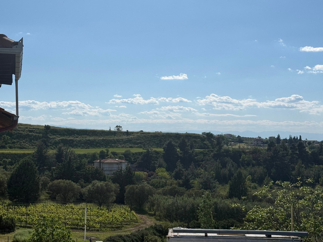 Domaine Florian-Trilofo必去景点