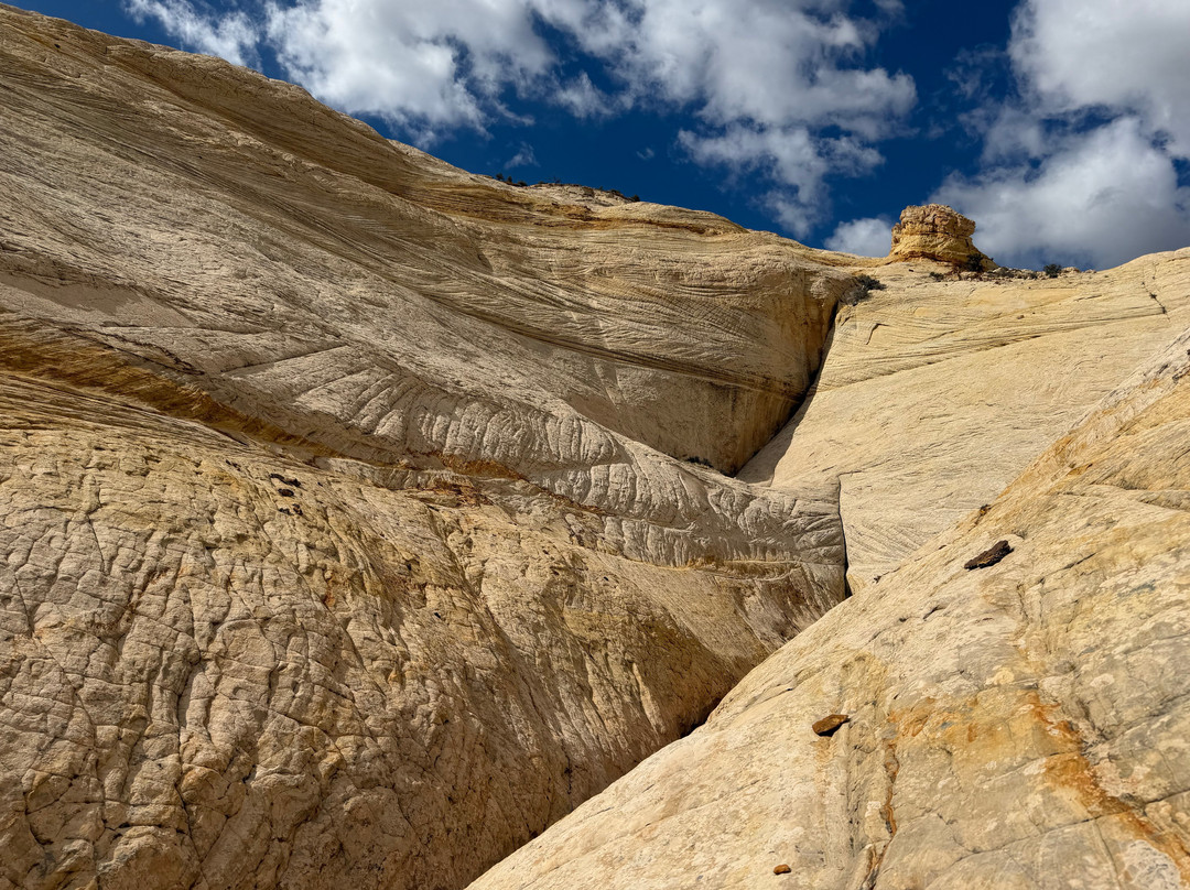 Utah Slickrock Guides-Boulder必去景点