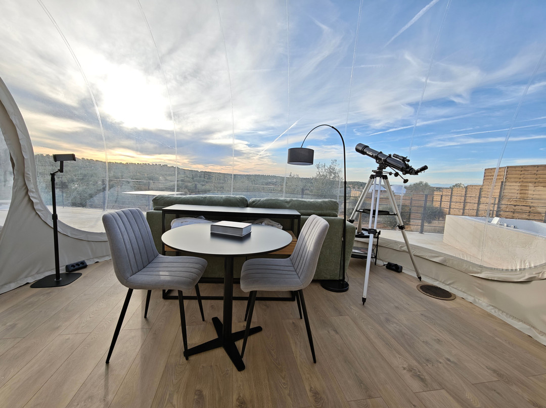 Panoramic Suites