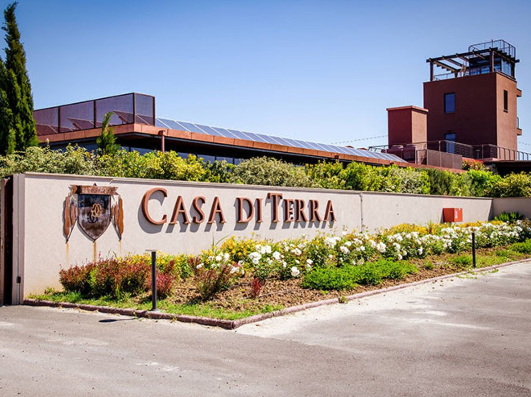 Fattoria Casa Di Terra