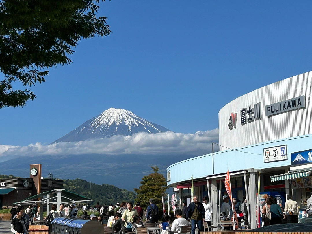 富士川服务区 下行线-富士市必去景点
