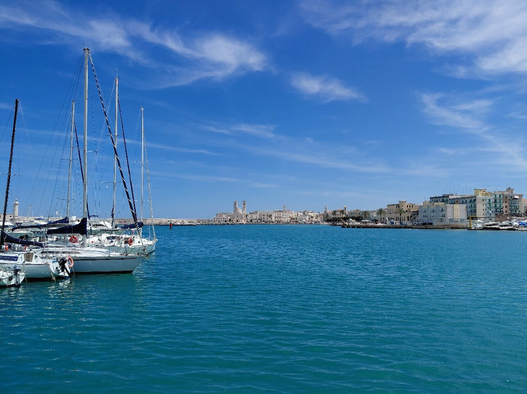 Duomo di Molfetta - Parrocchia San Corrado-莫尔费塔必去景点