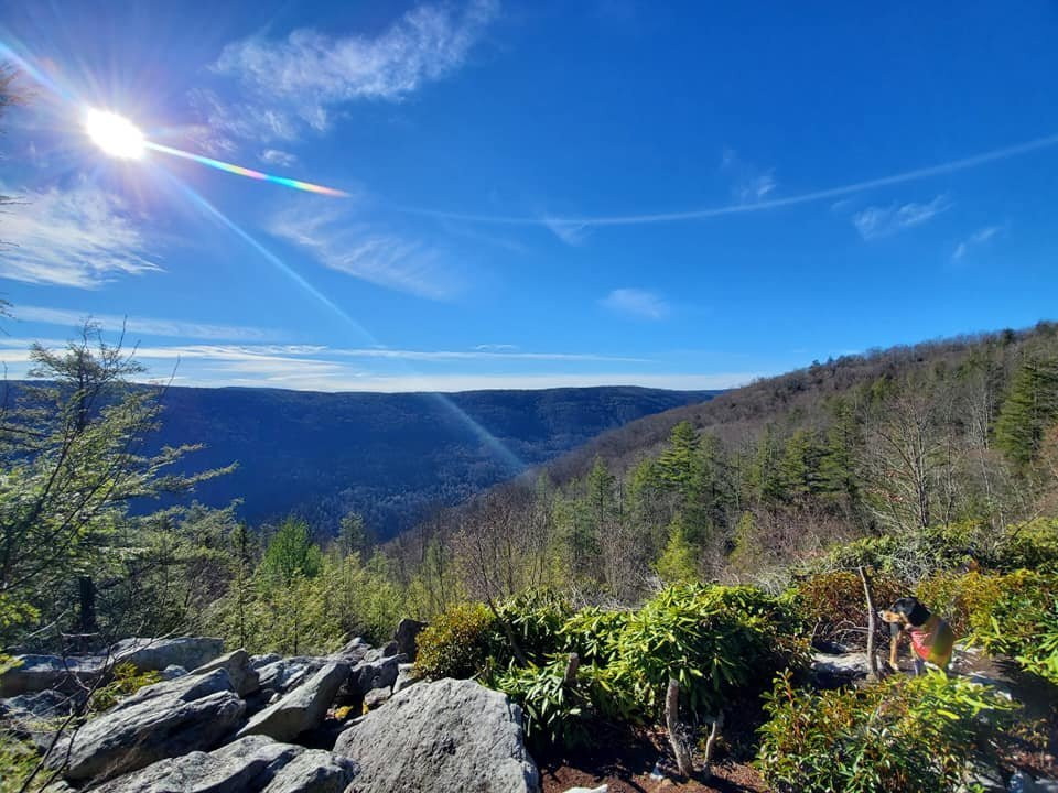Allegheny Trail-Marlinton必去景点