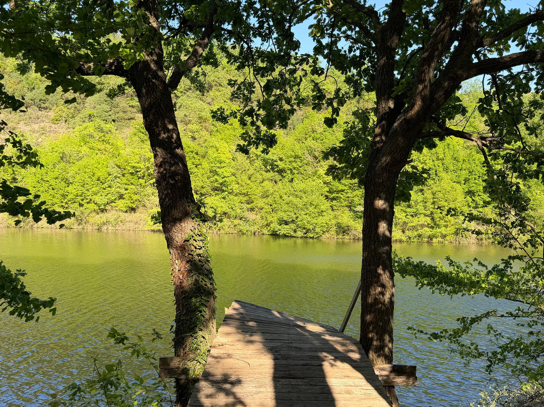 PAVILION Liqeni