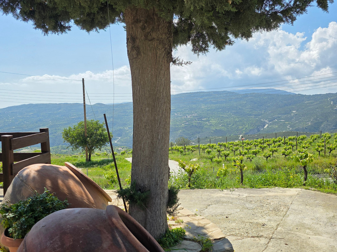 Nelion Winery-Praitori必去景点