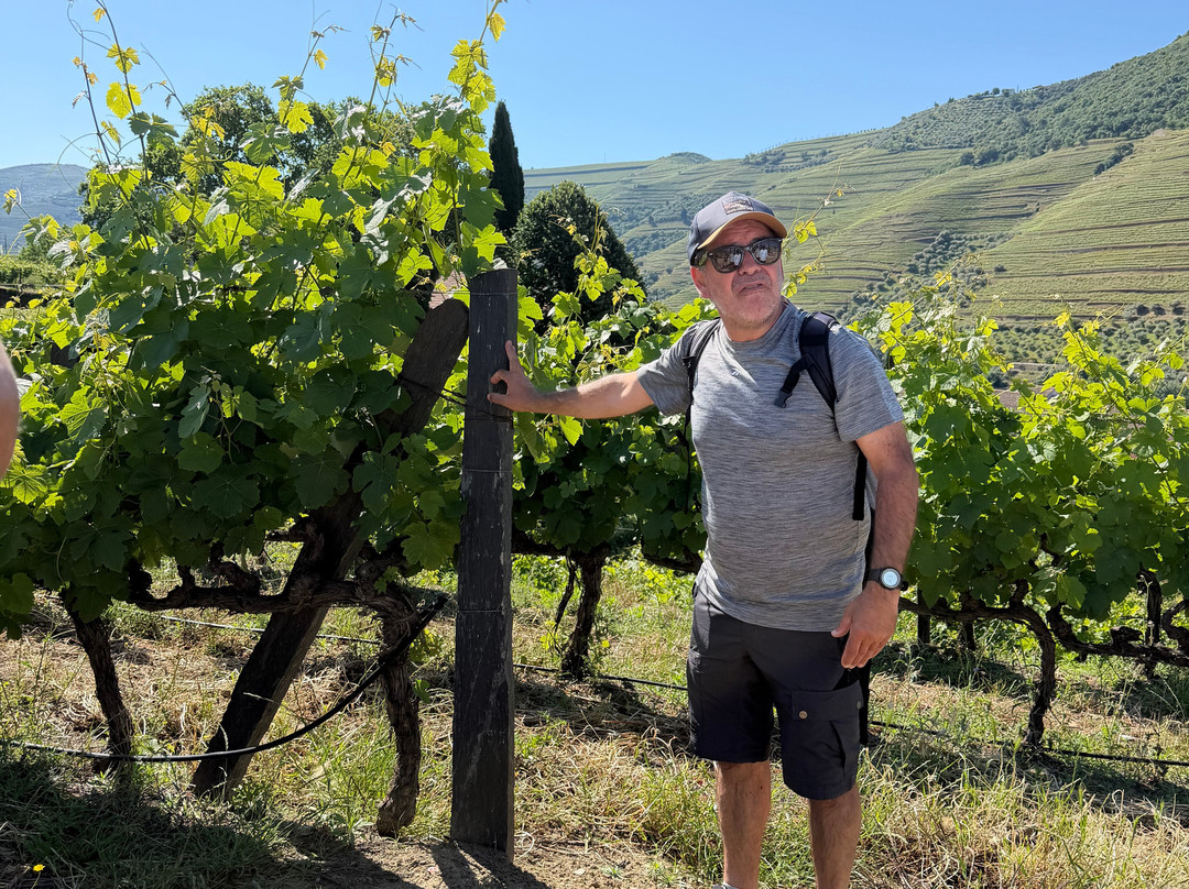 Douro Walks-Ervedosa do Douro必去景点