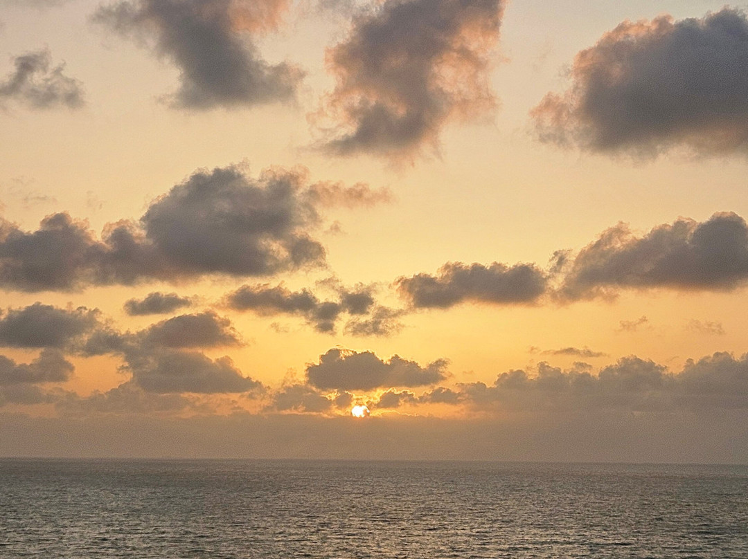 海法莱昂纳多酒店主图