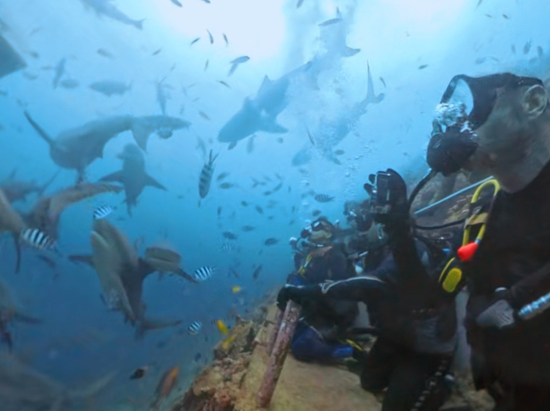 Beqa Adventure Divers-太平洋港必去景点