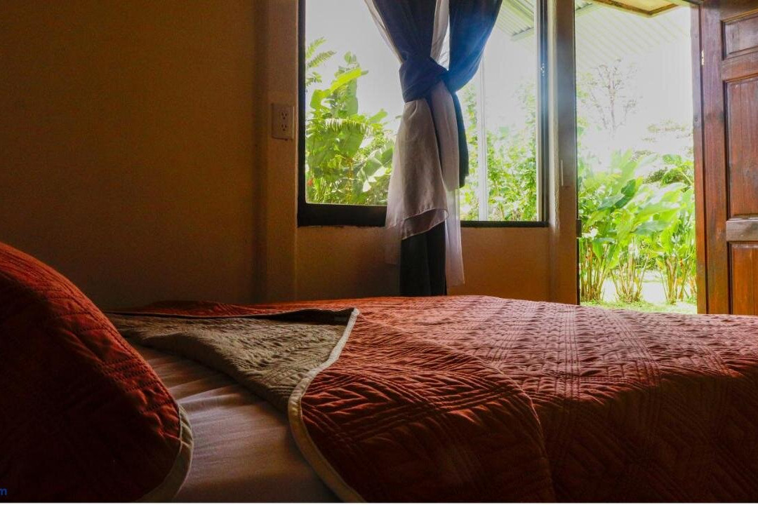 Rio Celeste Cabinas Vista Tenorio