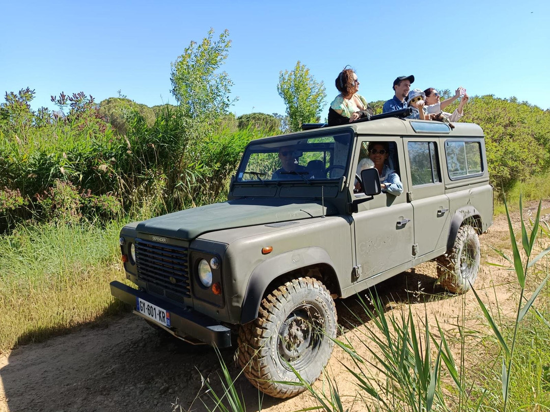 Safari Karine Cœur de Camargue-Montcalm必去景点