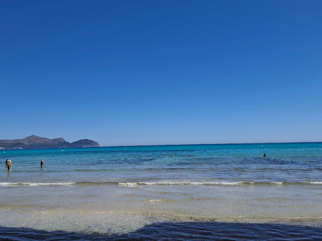 Playa de Ca'n Picafort-Ca'n Picafort必去景点
