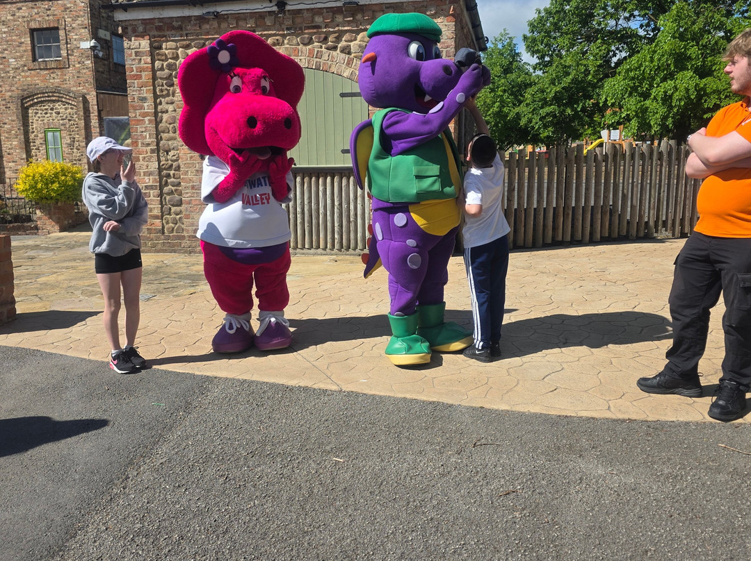 Lightwater Valley Family Adventure Park-North Stainley必去景点