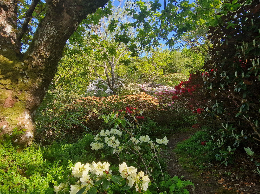 Angus's Garden, Barguillean-Taynuilt必去景点