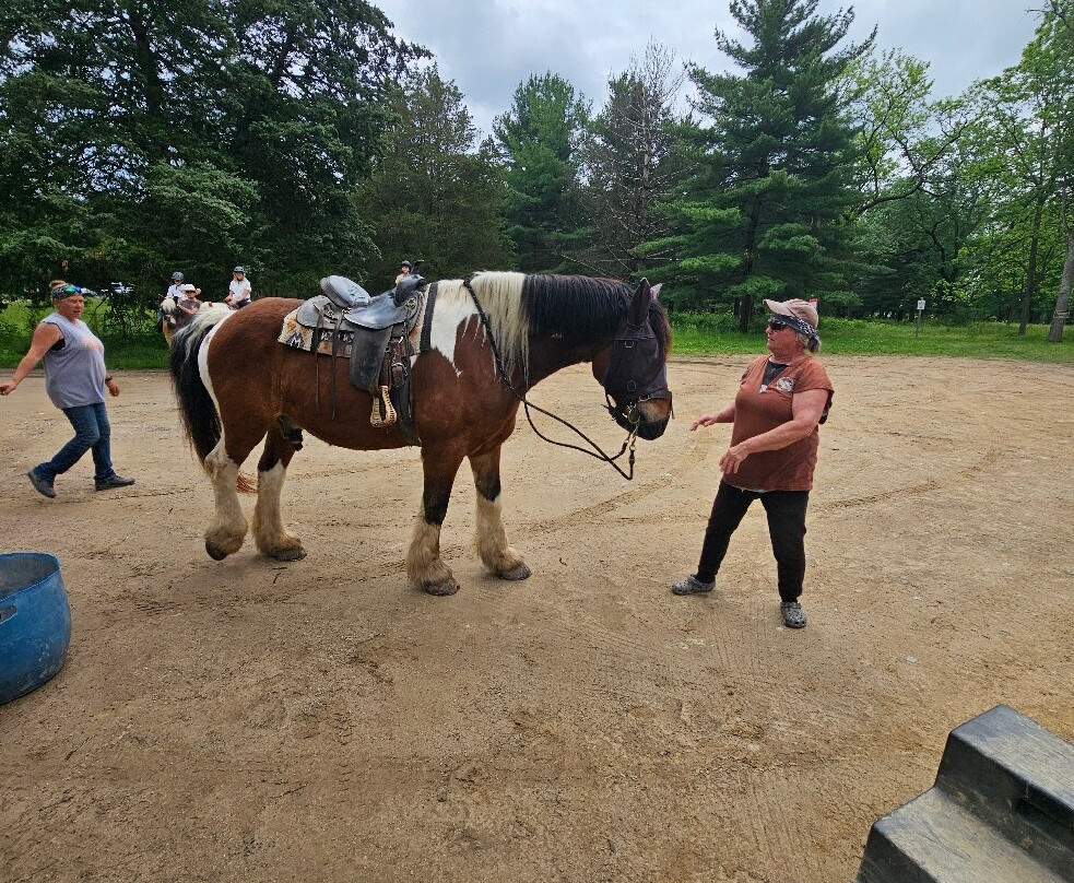 Hickory Hollow Horse Farm-葛底斯堡必去景点