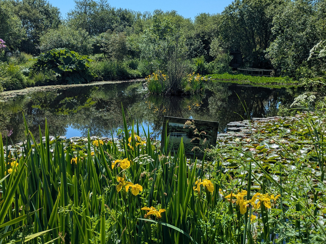 Tanglewood Wild Garden-彭赞斯必去景点