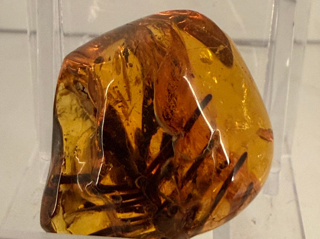 Museum of Amber - Museum of Gdansk-格但斯克必去景点