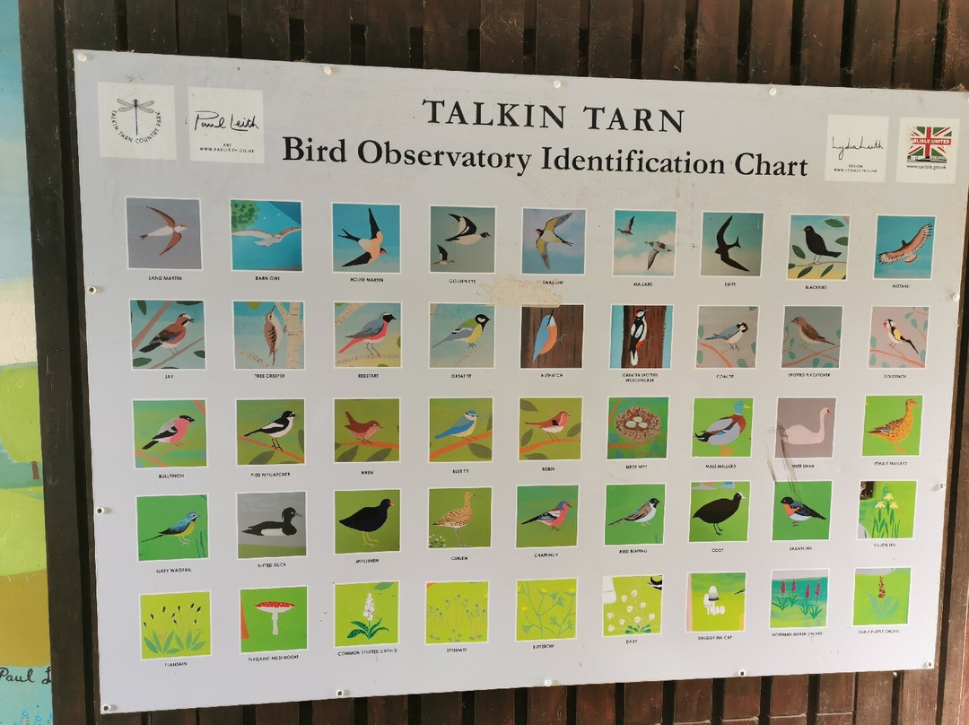 Talkin Tarn Park-卡莱尔必去景点