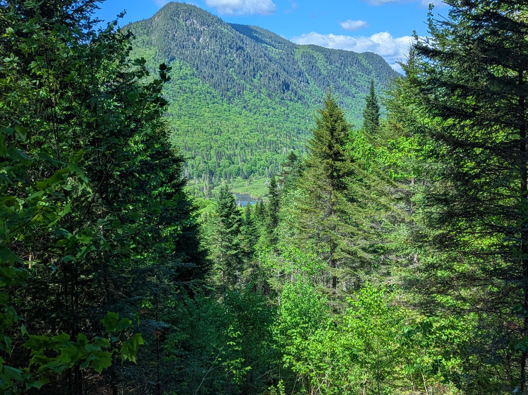 Parc national de la Jacques-Cartier-Stoneham-et-Tewkesbury必去景点