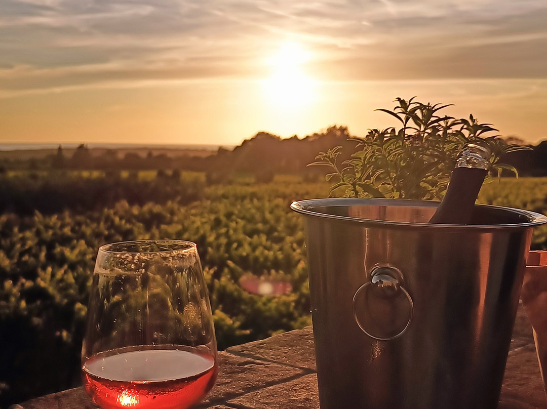 Lq - Le Querce - Wine Tasting-Campiglia Marittima必去景点