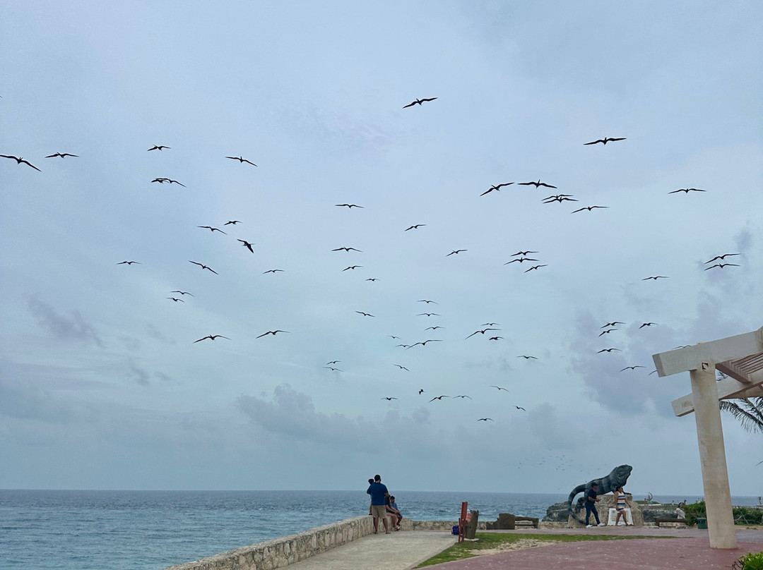 Punta Sur-女人岛必去景点