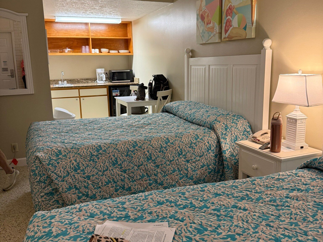漂流木小屋主图