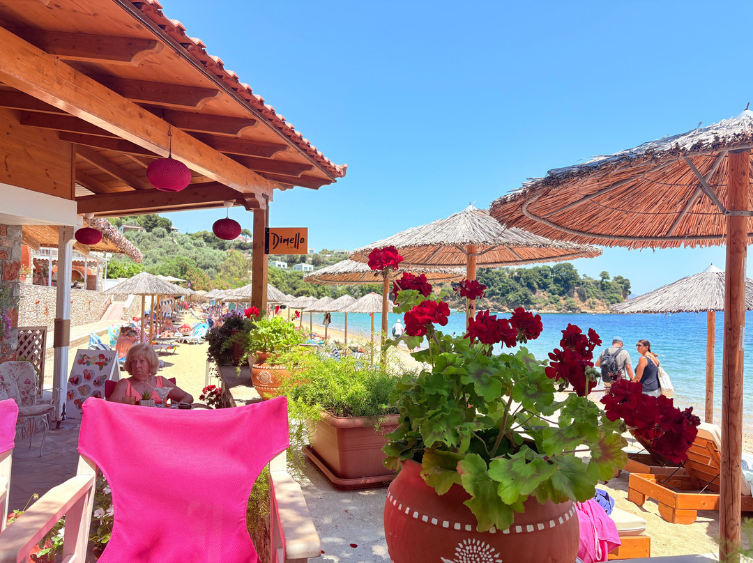Mojo Bar by the Sea-Skiathos Town必去景点