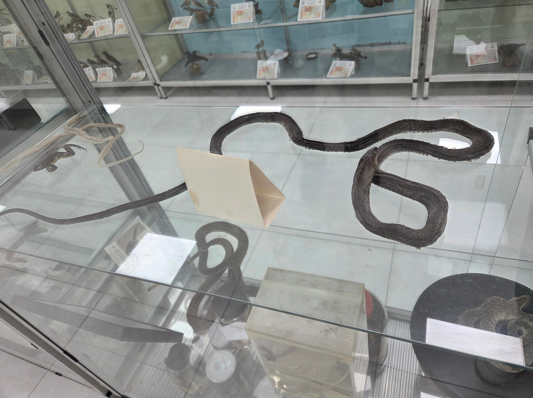 Jordanian Natural History Museum-Irbid必去景点